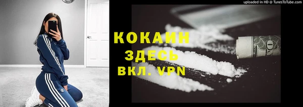 мяу мяу мука Няндома