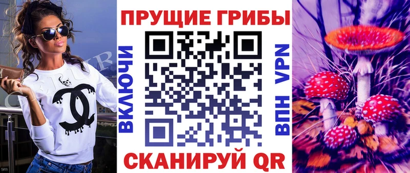 Псилоцибиновые грибы Psilocybe  Родники 